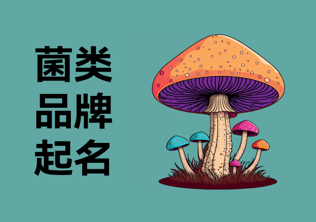 菌界新風(fēng)尚：揭秘菌類品牌起名的獨(dú)門(mén)秘籍